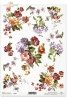 kwiaty, łąka, ogród, R094, bouquet, bouquets, flower, flowers, meadow, garden, ramos de flores, ramo, ramos, flores, flor, prado, jardín, Blumen, Blumensträuße, Strauß, Sträuße, Blumen, Blume, Wiese, Garten